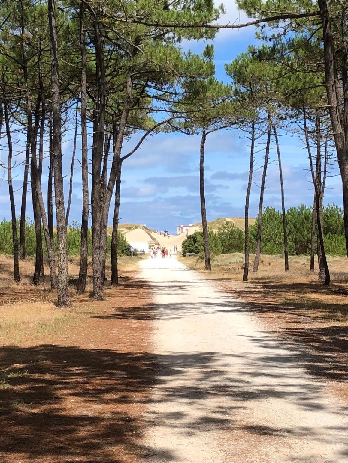 Villa Almigeda Les Mathes Esterno foto