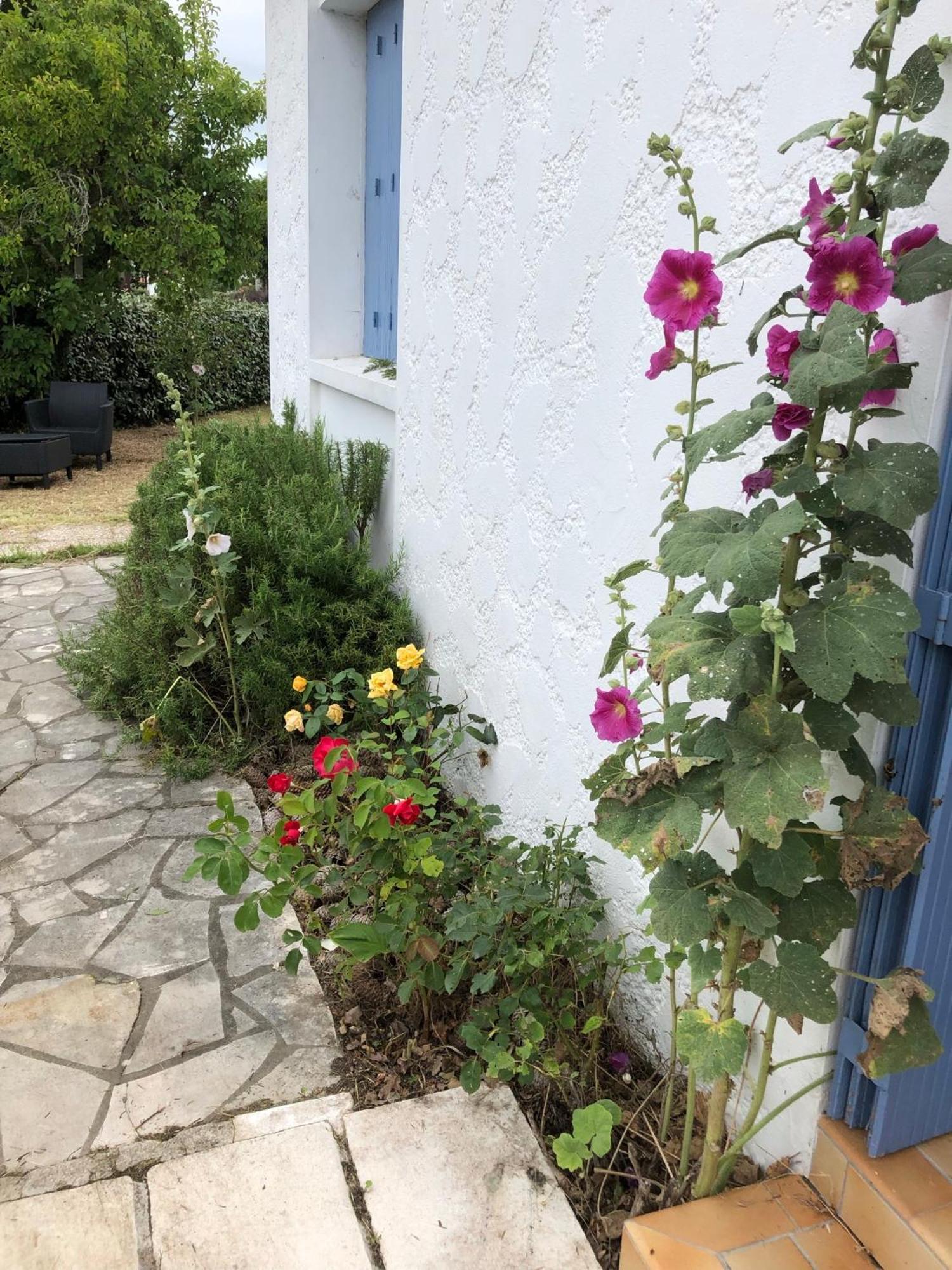 Villa Almigeda Les Mathes Esterno foto