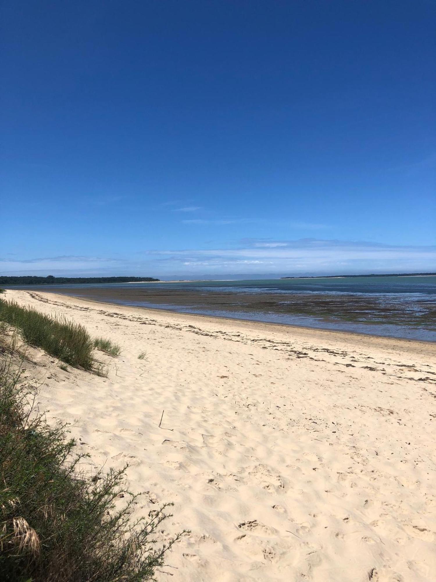 Villa Almigeda Les Mathes Esterno foto